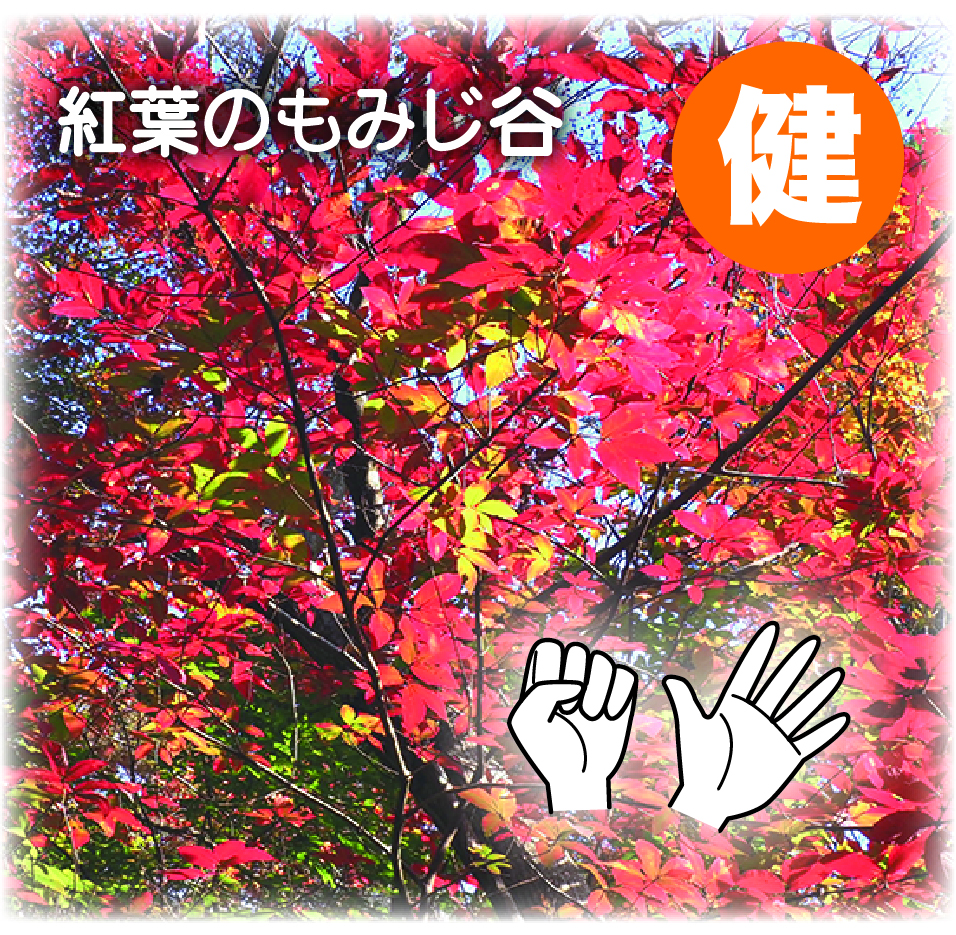 ⑤紅葉の葉のように手をグーパー